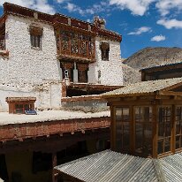 IMG_0949_raw
