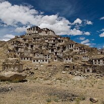 IMG_0958_raw