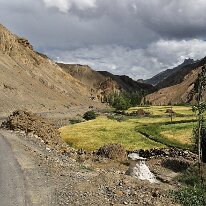 IMG_0989_raw