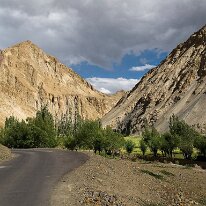 IMG_0991_raw