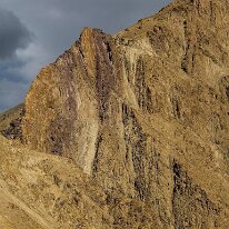 IMG_0993_raw