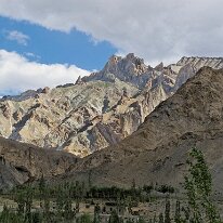 IMG_0994_raw