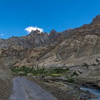 IMG_0998_raw