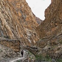 IMG_1062_raw