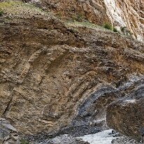 IMG_1066_raw