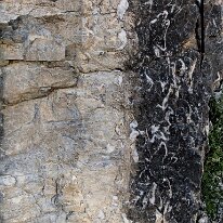 IMG_1070_raw
