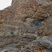 IMG_1118_raw