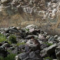 IMG_1119_raw