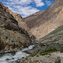 IMG_1120_raw