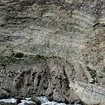 IMG_1121_raw