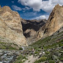 IMG_1127_raw