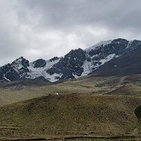 IMG_1135_raw