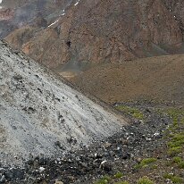 IMG_1170_raw