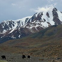 IMG_1260_raw