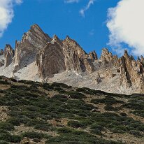 IMG_1310_raw