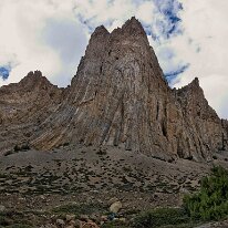 IMG_1317_raw