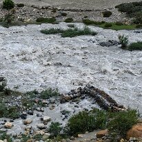 IMG_1318_raw