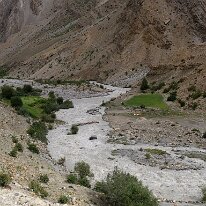 IMG_1319_raw
