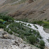 IMG_1321_raw