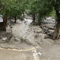 IMG_1398_raw