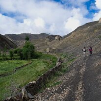IMG_1426_raw