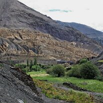 IMG_1427_raw
