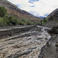 IMG_1429_raw