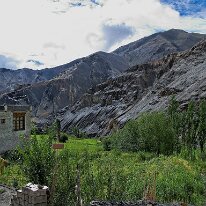 IMG_1435_raw