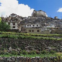 IMG_1436_raw