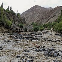 IMG_1447_raw