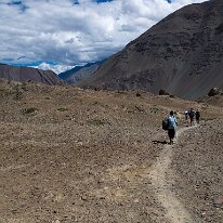 IMG_1465_raw