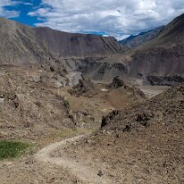 IMG_1467_raw