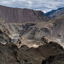 IMG_1468_raw