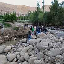 IMG_1480_raw