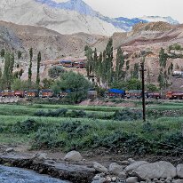 IMG_1483_raw