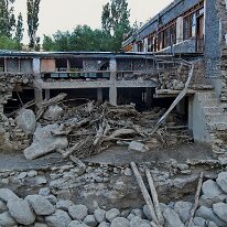 IMG_1484_raw