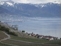 DSC3486  Les terrains sont constitués par la molasse subalpine, tertiaire, faillée et plissée, et les dépots morainiques quaternaires abandonnés par le glacier du Rhône.