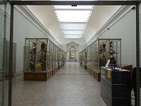 DSC3370  Galerie de zoologie