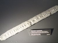 DSC3383