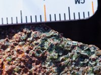 DSC1501 DxO  Cristaux verts d'olivine non altérée et rouges d'iddingstite, mélange de smectite, chlorite, goethite et hématite