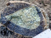 DSC1527 DxO  Nodule de pérodotite dans sa gangue basaltique