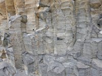 DSC1608 DxO  On voit les fractures perpendiculaires au grand axe des prismes. Chacune correspond à l'avancée de la prismation due à la contraction thermique.