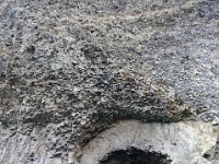 DSC1667 DxO  Arrêt 7 : Sur la route de Saint-Privat-sur-Allier, un tunnel de lave. Le rebord indique que le tunnel a fonctionné en deux temps.