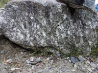 DSC7905  Bloc de granite de la Margeride, utilisé pour baliser un parking le long de l'Allier.On observe que les phénocristaux de feldspath, sanidine, sont orientés. Ils matérialisent les plans de fluidalité magmatique.