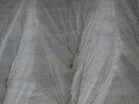 DSC7968