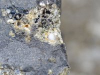 DSC1739 DxO  Les minéraux blancs dans les géodes sont de l'analcime, une zéolite. Et les perles noires ?