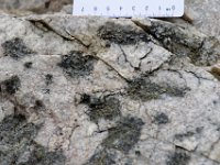 DSC1787 DxO  Amas noirs à verdâtres de cordiérite, "châtaignes". Dans les parties blanches : biotite, orthose, albite et oligoclase, quartz. C'est un granite d'anatexie, fusion d'une croûte inférieure à 20 km de profondeur, qui marque la fin de l'orogénèse hercynienne.