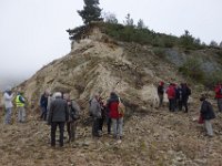 DSC8018  Arrêt 2- Dans un tournant de la D39- migmatites.
