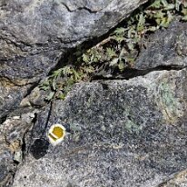 _DSC0050