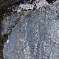 _DSC0090